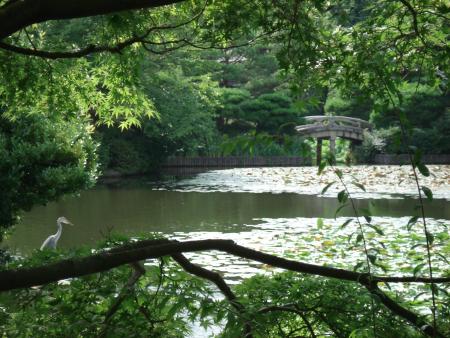 Kyoto - Ao&ucirc;t 2007