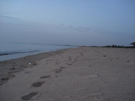 S&eacute;n&eacute;gal - janvier 2008 